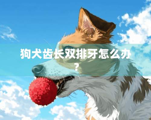 狗犬齿长双排牙怎么办？