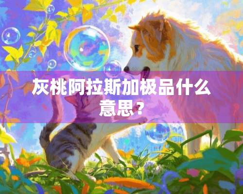 灰桃阿拉斯加极品什么意思？