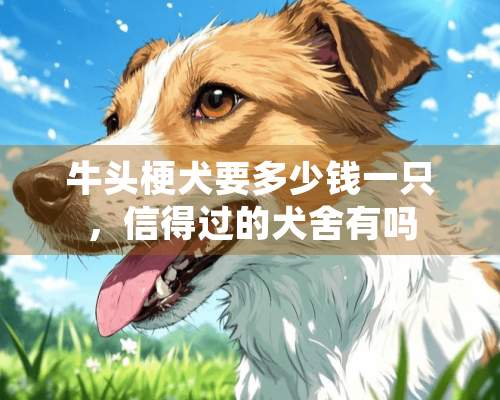 牛头梗犬要多少钱一只，信得过的犬舍有吗