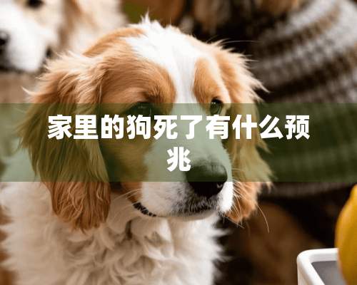 家里的狗死了有什么预兆