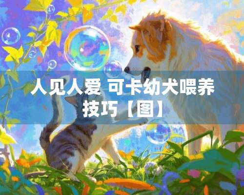 人见人爱 可卡幼犬喂养技巧【图】