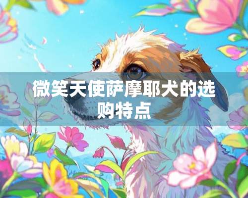 微笑天使萨摩耶犬的选购特点