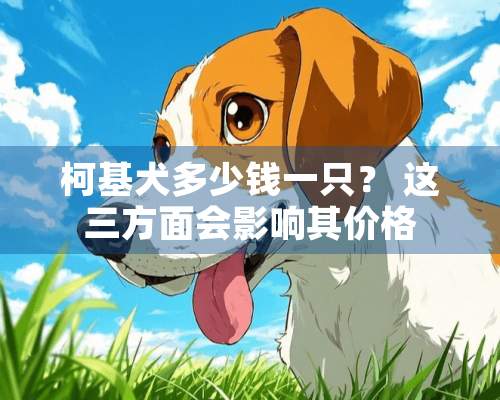 柯基犬多少钱一只？ 这三方面会影响其价格