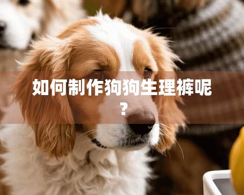 如何制作狗狗生理裤呢？