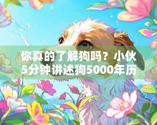 你真的了解狗吗？小伙5分钟讲述狗5000年历史，有你不知道的故事