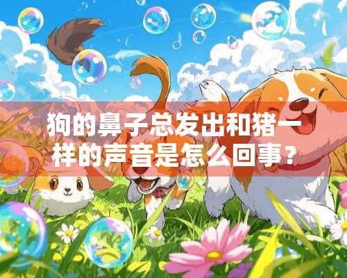 狗的鼻子总发出和猪一样的声音是怎么回事？