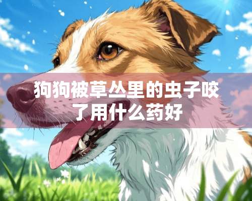 狗狗被草丛里的虫子咬了用什么药好