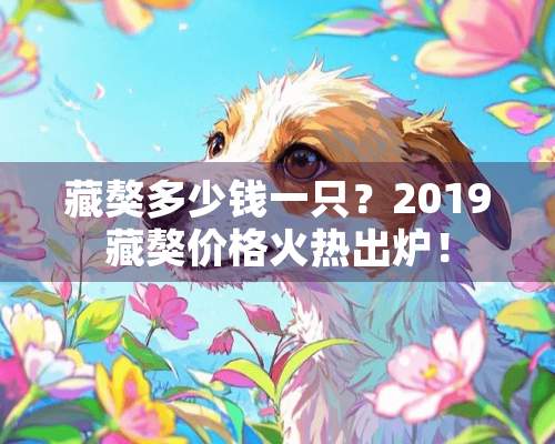 藏獒多少钱一只？2019藏獒价格火热出炉！