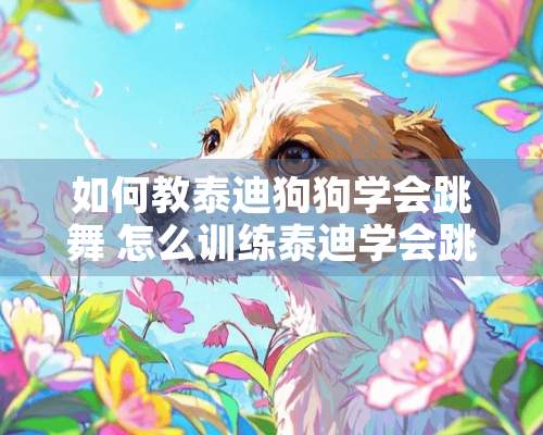 如何教泰迪狗狗学会跳舞 怎么训练泰迪学会跳舞