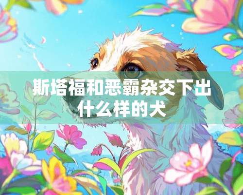 斯塔福和恶霸杂交下出什么样的犬