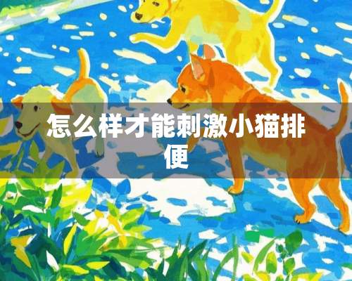 怎么样才能**小猫排便