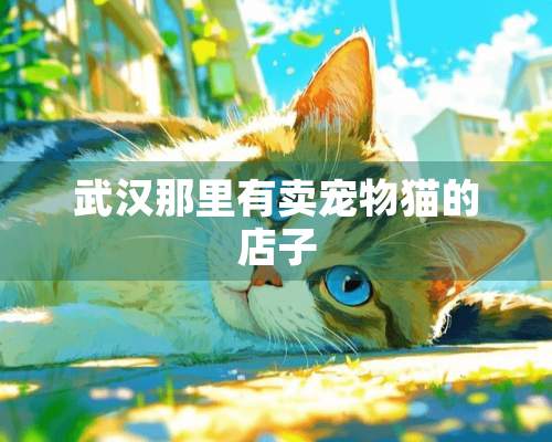 武汉那里有卖宠物猫的店子