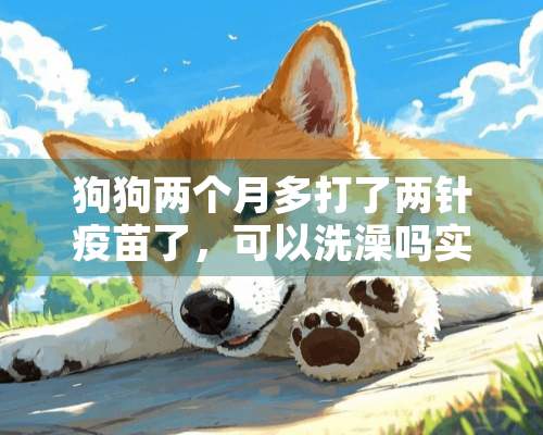 狗狗两个月多打了两针疫苗了，可以洗澡吗实