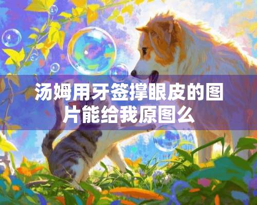 汤姆用牙签撑眼皮的图片能给我原图么