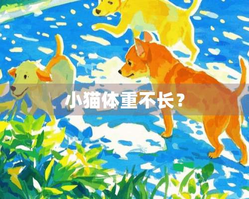 小猫体重不长？