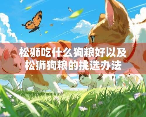 松狮吃什么狗粮好以及松狮狗粮的挑选办法