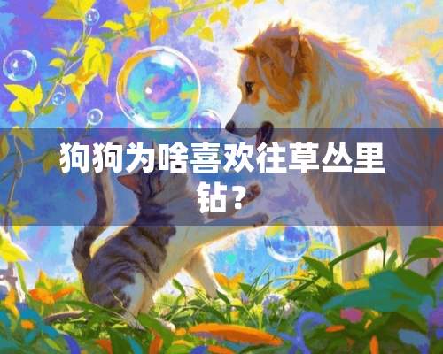 狗狗为啥喜欢往草丛里钻？