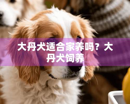 大丹犬适合家养吗？大丹犬饲养