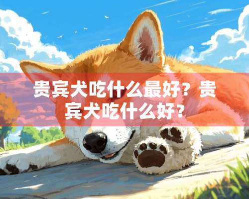 贵宾犬吃什么最好？贵宾犬吃什么好？