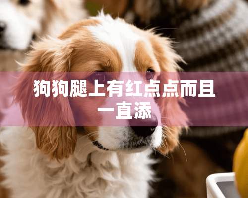 狗狗腿上有红点点而且一直添