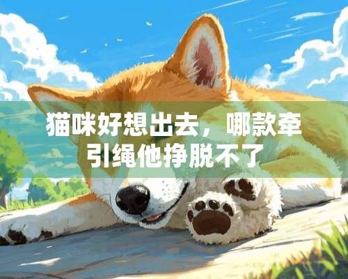 猫咪好想出去，哪款牵引绳他挣脱不了