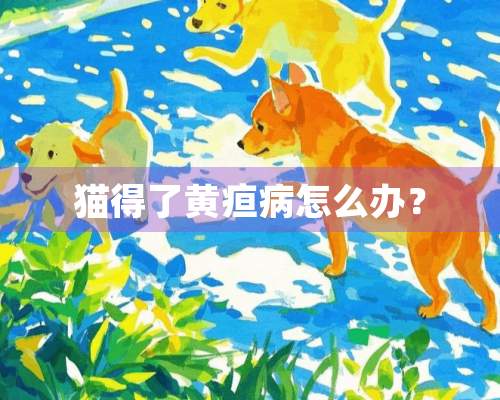 猫得了黄疸病怎么办？