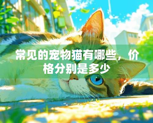 常见的宠物猫有哪些，价格分别是多少