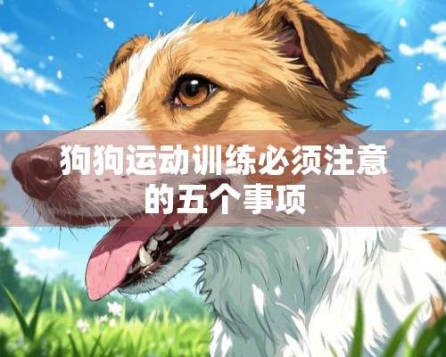 狗狗运动训练必须注意的五个事项