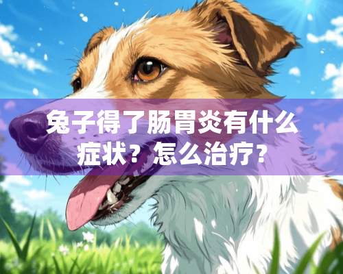 兔子得了肠胃炎有什么症状？怎么治疗？