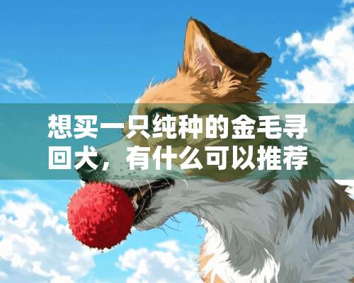 想买一只纯种的金毛寻回犬，有什么可以推荐的吗？最好附带价格。