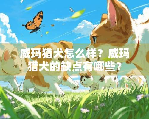 威玛猎犬怎么样？威玛猎犬的缺点有哪些？