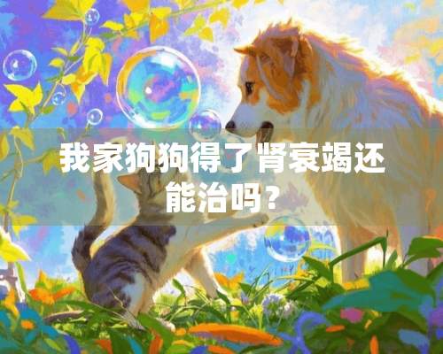 我家狗狗得了肾衰竭还能治吗？