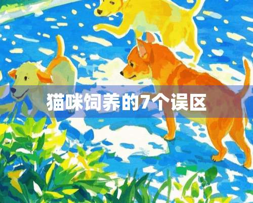 猫咪饲养的7个误区