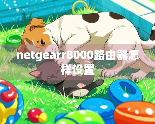 netgearr8000路由器怎样设置