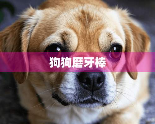 狗狗磨牙棒