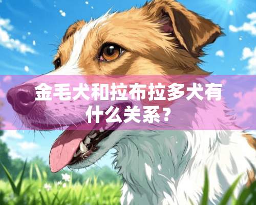 金毛犬和拉布拉多犬有什么关系？