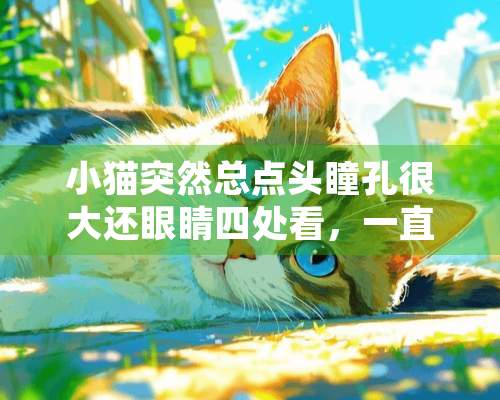 小猫突然总点头瞳孔很大还眼睛四处看，一直叫，不吃东西是怎么了