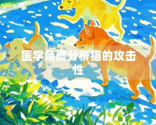 医学角度分析猫的攻击性