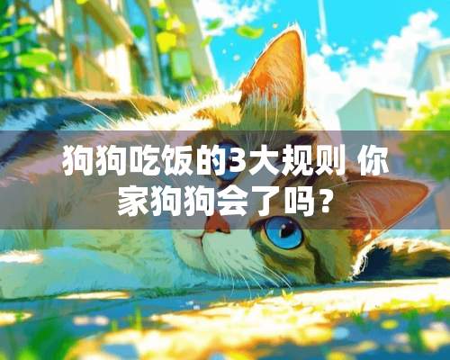 狗狗吃饭的3大规则 你家狗狗会了吗？