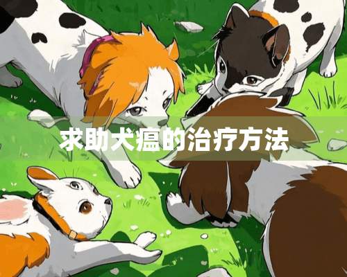 求助犬瘟的治疗方法