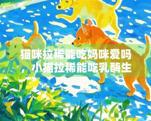 猫咪拉稀能吃妈咪爱吗，小猫拉稀能吃乳酶生吗