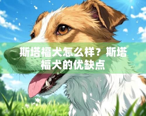 斯塔福犬怎么样？斯塔福犬的优缺点