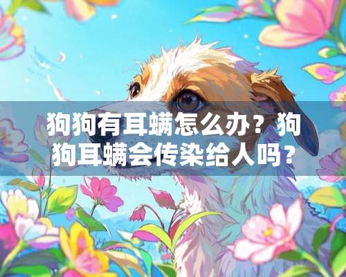 狗狗有耳螨怎么办？狗狗耳螨会传染给人吗？