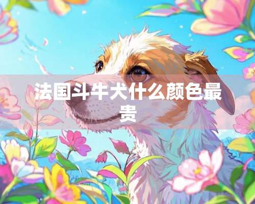 法国斗牛犬什么颜色最贵