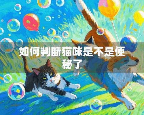 如何判断猫咪是不是便秘了