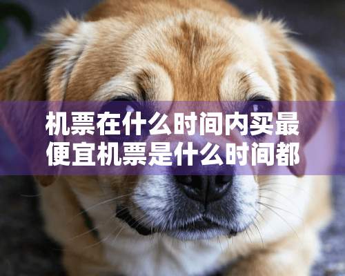 机票在什么时间内买最便宜机票是什么时间都买最便宜？