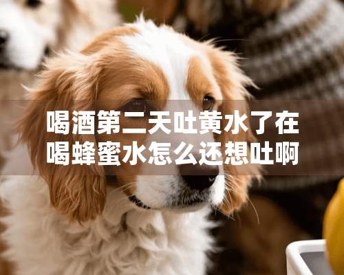 喝酒第二天吐黄水了在喝蜂蜜水怎么还想吐啊？