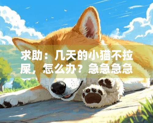 求助：几天的小猫不拉屎，怎么办？急急急急急急