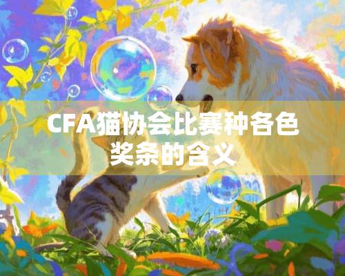 CFA猫协会比赛种各色奖条的含义