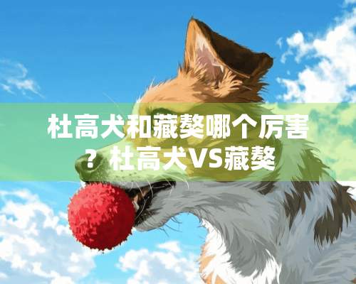 杜高犬和藏獒哪个厉害？杜高犬VS藏獒